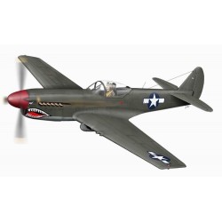 XP 40Q-2 Warhawk, letzte Ausführung 