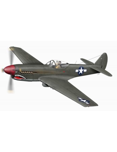 XP 40Q-2 Warhawk, letzte Ausführung 