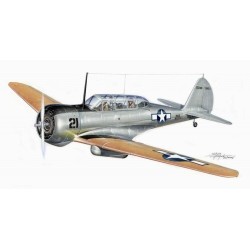 Curtiss Cw-22 SNC-1 Falcon 