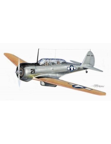 Curtiss Cw-22 SNC-1 Falcon 
