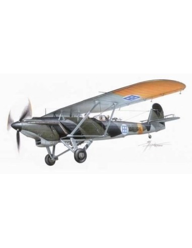 Dornier Do 22 Land with skis 