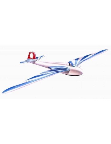 DFS Segelflugzeug Habicht 