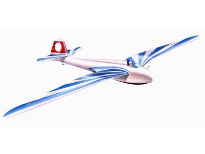 DFS Segelflugzeug Habicht 