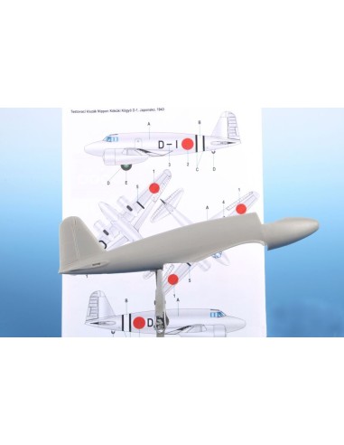 Nippon Kokuki Kogyo D-1 Research Glider 