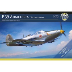 P-39 Airacobra Reconnaissance 