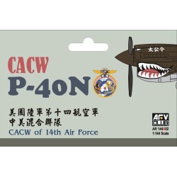 CACW P40-N (CACW of 14th Air Force) 