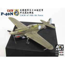 CACW P40-N (CACW of 14th Air Force)  2