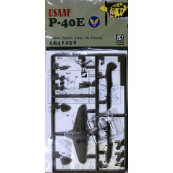P40-E 