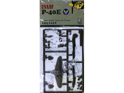 P40-E 