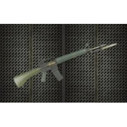 Resin arms R.O.C. T65k2 RIFLE 