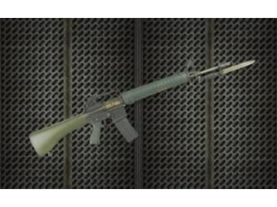 Resin arms R.O.C. T65k2 RIFLE 