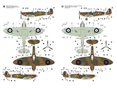 Supermarine Spitfire IIA w/Rotol Propeller 