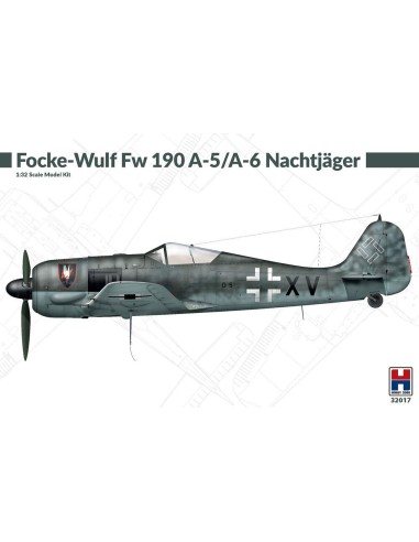 Focke-Wulf Fw 190 A-5/A-6 Nachtjager 