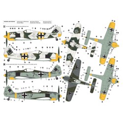 Focke-Wulf Fw 190 A-6 Eastern Front 