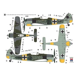 Focke-Wulf Fw 190 A-6 Eastern Front  2