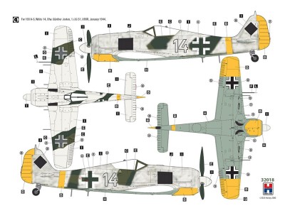Focke-Wulf Fw 190 A-6 Eastern Front 