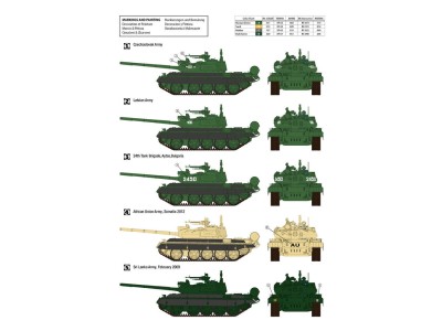 T-55AM2B "Kladivo" (w/bonus 4 painting and marking) 