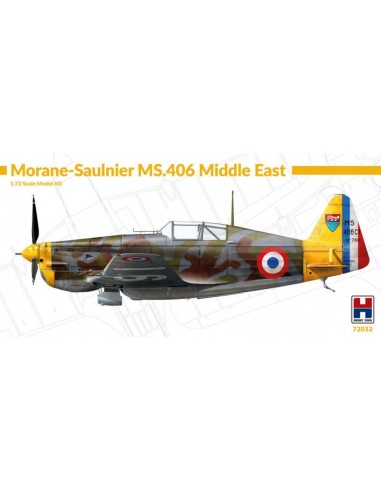 Morane-Saulnier MS-406 Middle East 