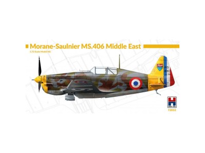 Morane-Saulnier MS-406 Middle East 
