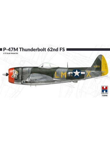 P-47M Thunderbolt 62nd Fighter Squadron 