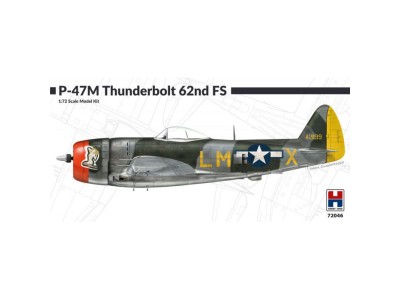 P-47M Thunderbolt 62nd Fighter Squadron 