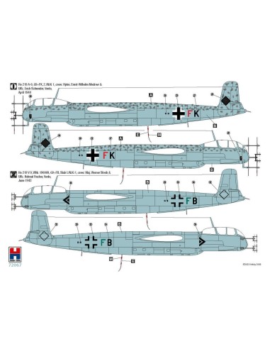 Heinkel He 219 A-0 