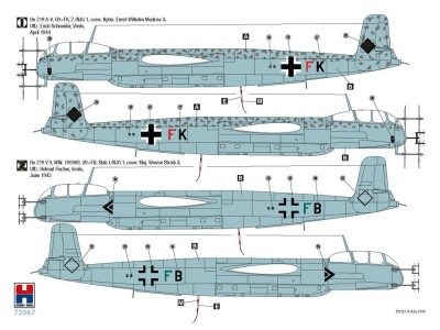 Heinkel He 219 A-0 