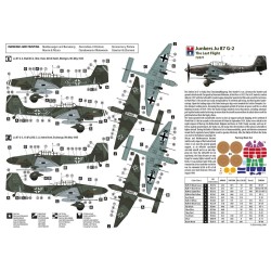 Junkers Ju 87 G-2 The Last Flight 