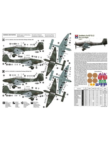 Junkers Ju 87 G-2 The Last Flight 