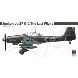 Junkers Ju 87 G-2 The Last Flight  2