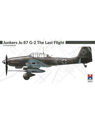 Junkers Ju 87 G-2 The Last Flight 