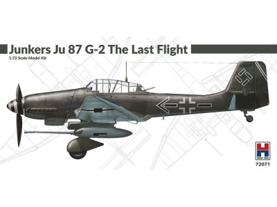 Junkers Ju 87 G-2 The Last Flight 