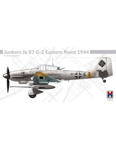 Junkers Ju 87 G-2 Eastern Front 1944  2
