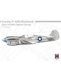 P-40N Warhawk Aces of The 49th Fighter Group  2