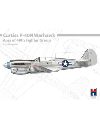 P-40N Warhawk Aces of The 49th Fighter Group 