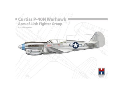 P-40N Warhawk Aces of The 49th Fighter Group 