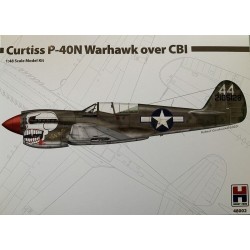Curtiss P-40N Warhawk over CBI 