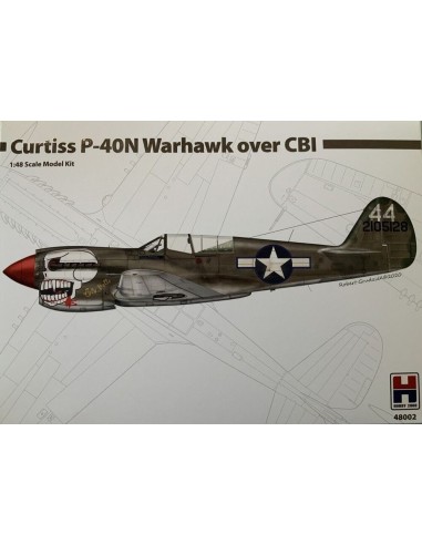 Curtiss P-40N Warhawk over CBI 