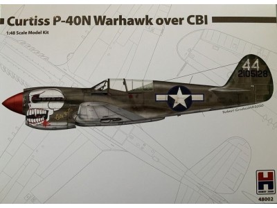 Curtiss P-40N Warhawk over CBI 