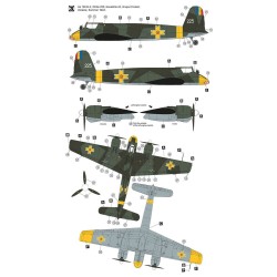 Henschel Hs 129 B-2 Eastern Front  2