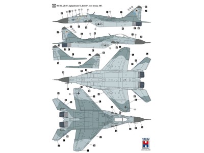MiG-29 German Air Force 