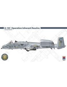 A-10C Operation Inherent Resolve 