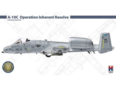 A-10C Operation Inherent Resolve 