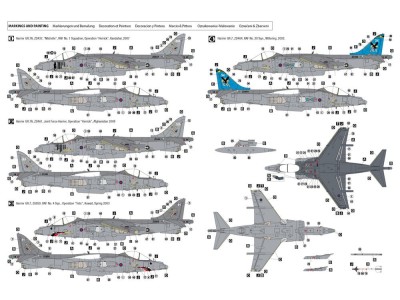Harrier GR.7 