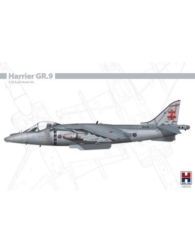 Harrier GR.9 