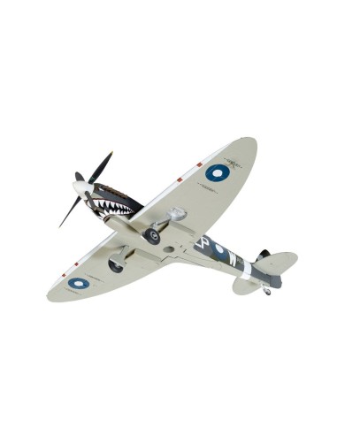 Supermarine Spitfire T.9 TE308 (G-AWGB) Finished as A58-606 'Grey Nurse' Sharkmouth, operated by Biggin Hill Heritage Hangar 
