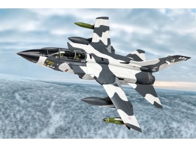 Panavia Tornado GR1A. ZA371/C. Norway. 1995 