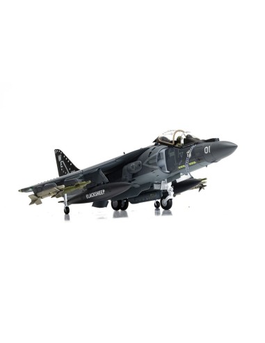 McDonnell Douglas AV-8B+ Harrier II - 165001/01 - VMA-214 'Black Sheep' 
