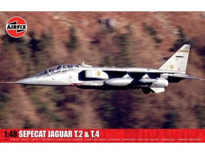 SEPECAT Jaguar T.2 & T.4 