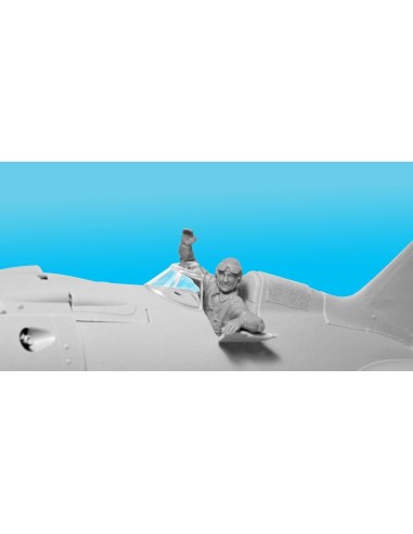 I-16 type 24 with Soviet Pilots(1939-42) Limited 